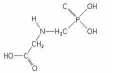 Glyphosate95%-97%TC, 480g/L SL,62%SL, 75.7%WDG