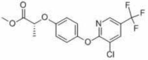 Haloxyfop-p-methyl 108g/L EC