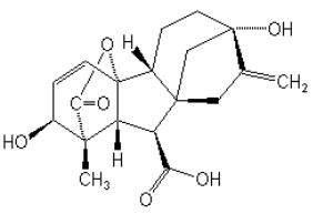 Gibberellic acid (GA3) 90%TC,5%,10%,20%TB